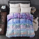 Pure Cotton Goose Down Feather Duvet/Quilt/Comforter for Home