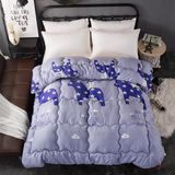 Pure Cotton Goose Down Feather Duvet/Quilt/Comforter for Home