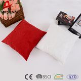 Latest Design Decorative Fashion Embroidery Micromink Square Cushion