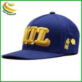 3D Embroidery Snapback Hat Sports Cap with Flat Bill