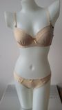 2016 Good Quality Hot Underwear Lady Bra and Panty (CS16918)