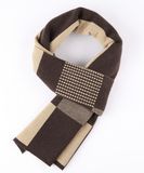 Men's Winter Wool Polyester Nylon Acrylic Woven Fashion Scarf (YKY4606)