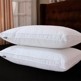 Luxury Hotel Down Feather Pillow (DPF061124)