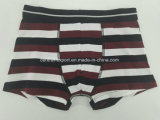 Yarn Dye Black White Brown Strip Children Underwear Boy Boxer Short Boy Brief