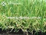 Simulation Turf Carpet for Garden or Landscape (SUNQ-HY00039)