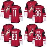 Arizona Coyotes Brendan Perlini Emerson Etem Conor Garland Hockey Jerseys