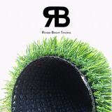 Garden Decoration Landscaping Carpet Artificial Grass Synthetic Grass Artificial Turf