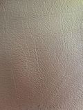 Supply PU/PVC Leatherette for Sofa/Furniture