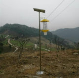 Widly Design Control Area Best Effciency Solar Insect Killing Lamp