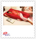 Db Home-Pregnancy Pillow