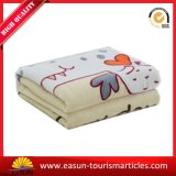 Double Sided Plush Fleece Blanket with Best Price (ES3051531AMA)