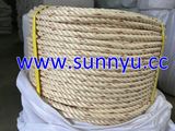 PP Danline Mooring Rope 3 Strands PP Danline Rope, PP Rope