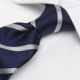 Men's High Quality 100% Woven Silk Necktie (1209-30)