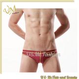 New Fashion Men Sexy Swimwear Swimming Briefs Wholesale