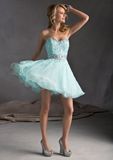 Beaded Bodice and Waist Fashion Party Dresses (PAD0017)