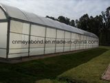 100% Virgin HDPE Insect Net