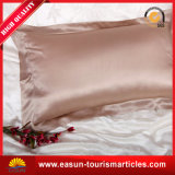 Natural Mulberry Silk Pillow Cover Supplier (ES3051742AMA)