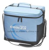 Sports Gym Insulated Bag Portable Carry Bag