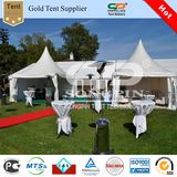 Frame Tent pvc marquee tents  3x9m