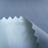 Windproof Skin Coat Fabric / Nylon Fabric/ Super Lightweight Nylon Fabric