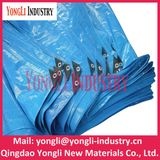 Coated Pattern and HDPE Tarpaulin, PE Material Korea PE Tarpaulin