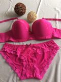 Ladies Lace Nylon Bra, New Arrvial Sexy Bra and Panty (CS16909)