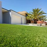 50mm Height 18900 Density Leou10 Landscaping Artificial Grass Carpet Rug for Decoration
