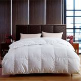 Hotel Luxury Microfiber Filling Duvet Comforter (CE/OEKO)