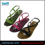 High Quality Flat Many Colors Sandals for Womens