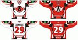 Customized Kontinental Hockey League Avtomobilist Yekaterinburg Hockey Jersey