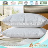 Anti-Allergy Rectangle Duck Down Feather Pillow Inner for Home Bedding Down Pillow