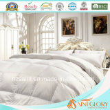 Best Selling Down Quilt White Goose Feather and Down Duvet