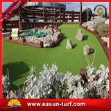 Artificial Grass Carpet for Door Mats with Competitive Price