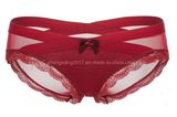 China Factory Good Quality Breathable Lace Mesh Sexy Women Panty