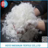 Bulk Sale High Quality White Goose Feather