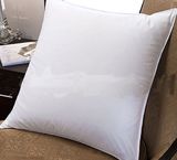 High Quality and Cheap Microfiber Throw Pillow Inserts