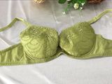 High Class Fashion Bra and Panty Lady Sexy Lingerie