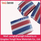 Tarpaulin in Roll Cheap Price Good Quality PP/PE Tarpaulin All Purpose Waterproof PE Tarpaulin, PE Tarps, PE Sheet