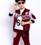High Quality Casual Long Sleeve Sports Suit with Hood for Boys