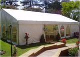 Hundred Peopel Can Drink in 10m Wine Tent