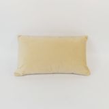 High Standard Eco-Friendly Rectangle Decorative Velvet Cushion Cover