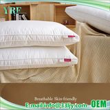 Wholesale Factory Sale Standard Down Pillow for Cottage