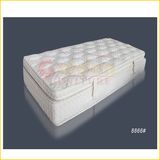 High Quality Ompressed Perfect Home Furniture Mattress D8866#