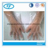 Clear Disposable HDPE Gloves for Food