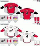 Customized American Hockey League Abbotsford Heat Hockey Jersey