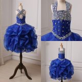 2018 Real Picture Royal Blue Ball Organza Flower Girl Dresses