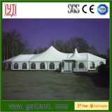 Big Commercial Concert Tents for Sale with Clear Span