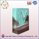 Vertical Type Paper Bag