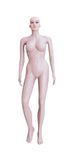 Skin Color Plus Size Fat Female Gender PP Model Mannequin