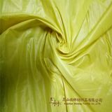 Waterproof Nylon Taffeta Fabric for Garment Lining, Suit, Down Jacket and Proof Coat